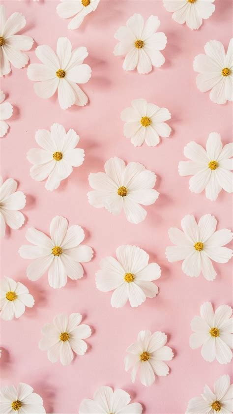 Pink Flowers Wallpapers