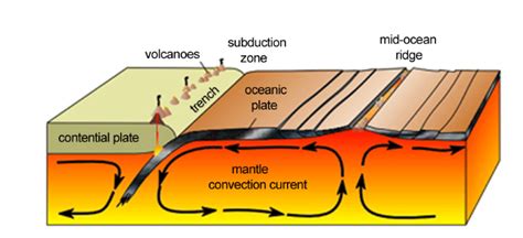 How are convection currents related to plate tectonics?