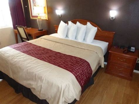 Budget, Pet Friendly Hotel in Needles, CA 92363 | Red roof inn, Red roof, Hotel