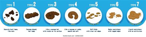 Healthy Human Poop Chart