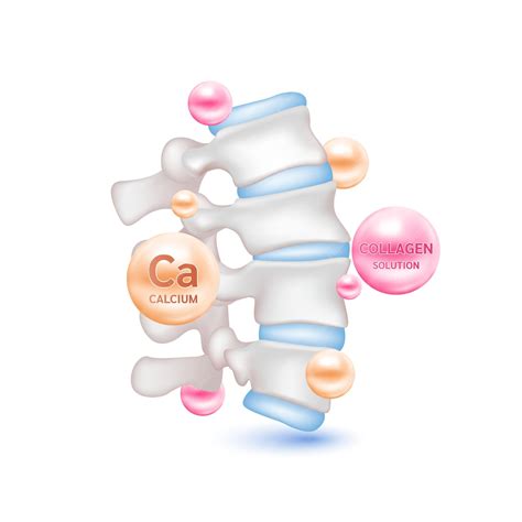 Premium Vector | Calcium collagen vitamin therapy Help heal backbone