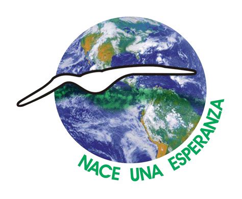 Fundacion Nace Una Esperanza - Home