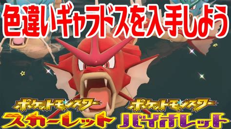 【ポケモンsv】色違いギャラドスを入手しよう【ポケットモンスター スカーレット・バイオレット】pocket Monsters Youtube