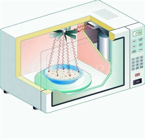 Quel Rev Tement De Four Micro Ondes Est Meilleur Et Le R Le Du