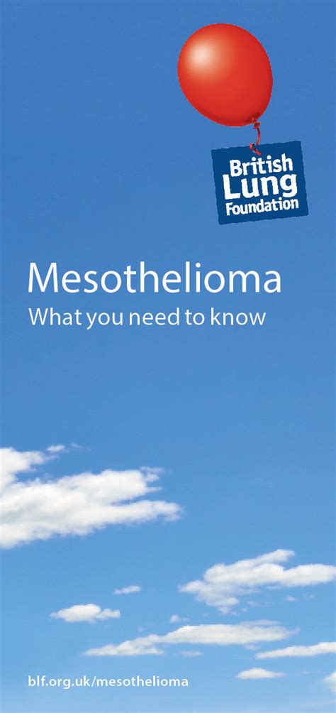 Mesothelioma Leaflet Asthma Lung Uk