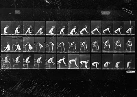 EADWEARD MUYBRIDGE HUMAN FIGURE IN MOTION PDF