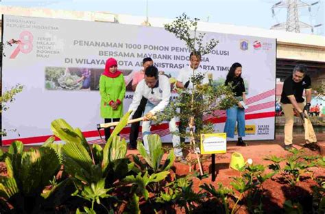 Kurangi Polusi Udara Pemprov Dki Tanam Pohon Ketapang Di Kolong