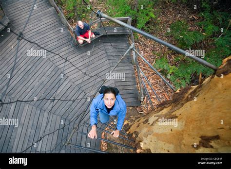 Woman Climbing The Spiral Stairway Of The Gloucester Tree Gloucester