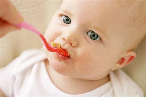 Spoon Feeding 5 By Ruth Jenkinson Science Photo Library