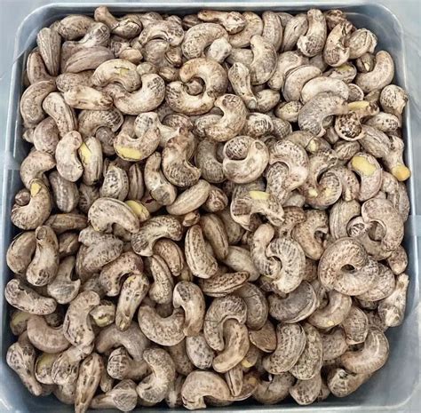 Special Deal Cashew Nuts Roasted Cashew Nuts Roasted With Skin Cashew