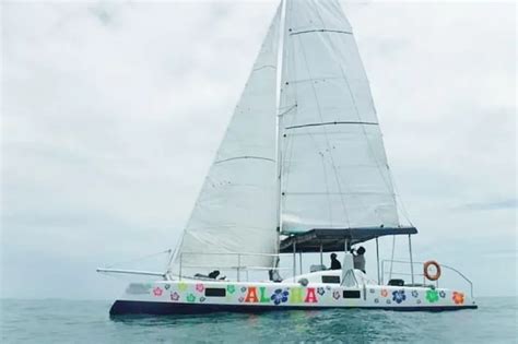 Sailing Catamaran Private Tour - Tour Online SYS