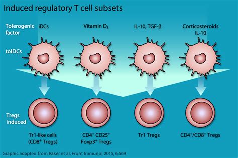 Tolerizing Ps Liposomes Tolerogenics S A R L