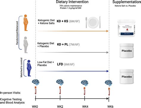 Frontiers | The effects of a 6-week controlled, hypocaloric ketogenic