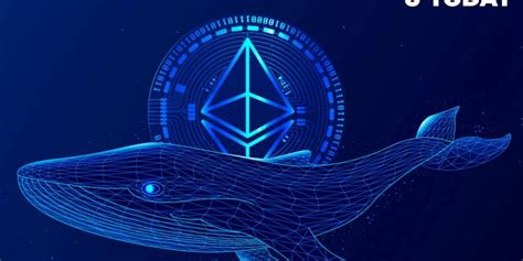 Ethereum Whales Bounce Back After Massive 15 Price Spike Business News