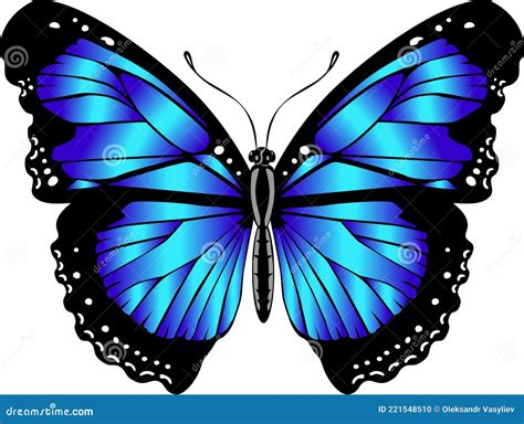 Hermosa Mariposa Azul Brillante Ilustraci N Vectorial Aislada Stock De