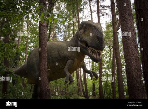 Tyrannosaurus Rex Jagd Fotos Und Bildmaterial In Hoher Aufl Sung Alamy