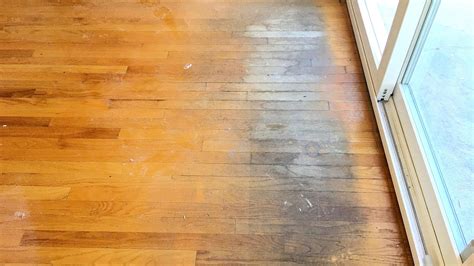 Hardwood Floor Water Damage Repair – Flooring Tips