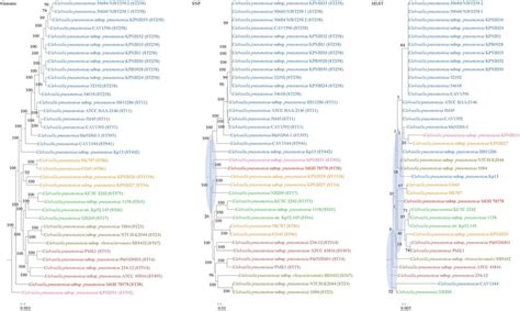 Comparison Of Phylogenetic Trees Constructed Using Genome Data Left