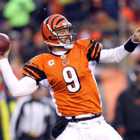 Carson Palmer Bengals