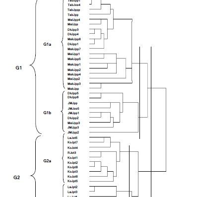 Dendrogram Obtained By Hierarchical Cluster Analysis Hca Based On The