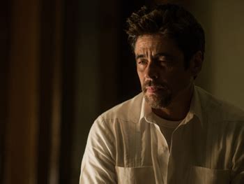 Benicio Del Toro Sicario: Day of the Soldado | Female.com.au