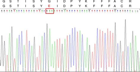 Cyp A Dna Sequencing Chromatogram And Cyp Ap Amino Acid Sequence For