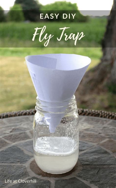 Easy DIY Fly Trap | Homemade fly traps, Diy fly trap, Fly traps