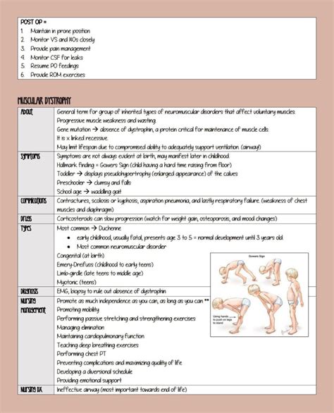 Pedi Musculoskeletal Nursing Cheat Sheets Etsy