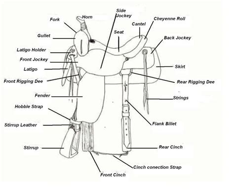 Printable Parts Of A Western Saddle