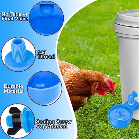 Buy Asouny Chicken Waterer Cups6 Pack Large Automatic Chicken Water