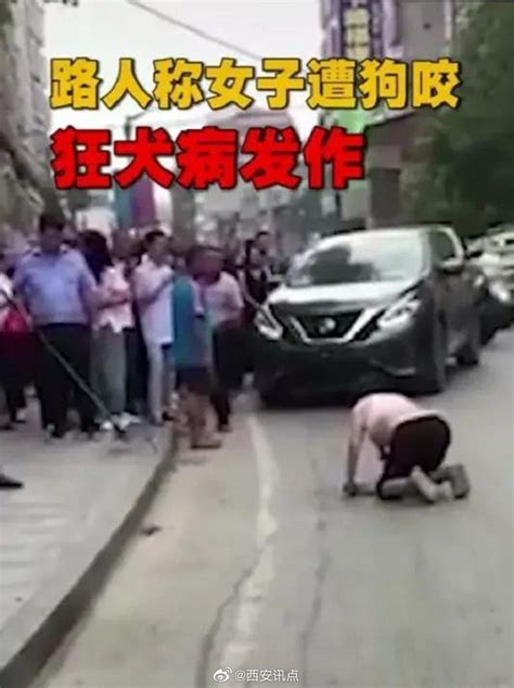 大妈当街学狗爬狗叫 ，网传其狂犬病发作 狂犬病 大妈 当街 新浪新闻