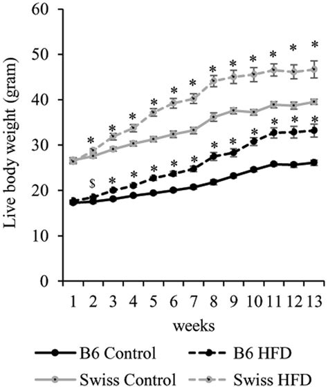 The Effect Of HFD Feeding On Body Weight Gain In B6 And Swiss Mice