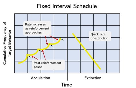 15 Fixed Interval Schedule Examples (2025)