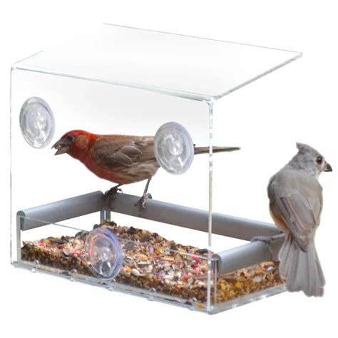 Creative Pet Bird Cage Clear Window Squirrel Proof Bird Feeder Window