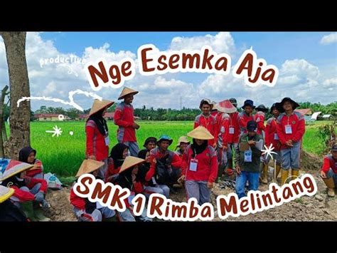 SMK Negeri 1 Rimba Melintang Cetak Petani Millenial YouTube