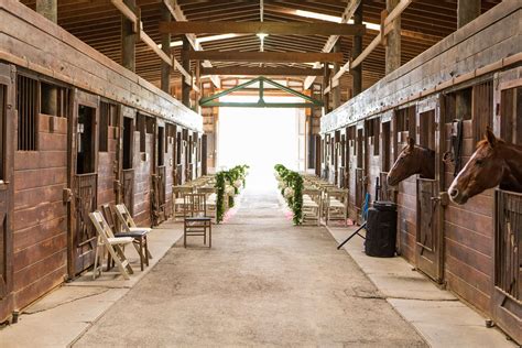 Horse and Stable Wedding