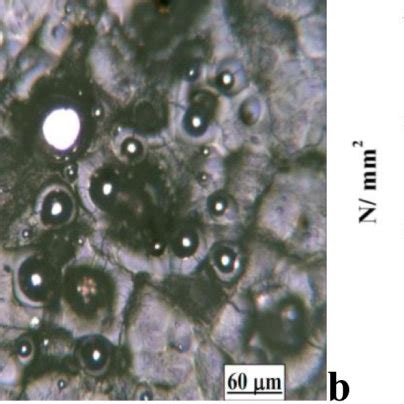 SEM Image Of The Tungsten Surface Exposed To 150 Plasma Pulses Of