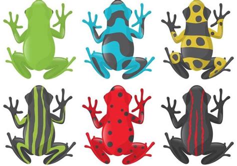 Tree Frog Vector Art Icons And Graphics For Free Download