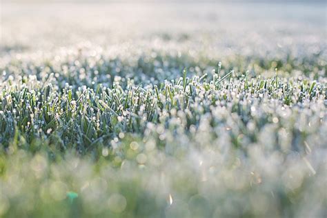 Frost On Grass Early Morning - Free photo on Pixabay - Pixabay