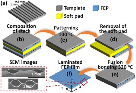 Schematic Preparation Process And Crosssectional Sem Images Of A