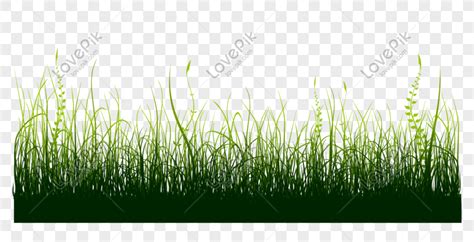 Vector Hand Drawn Grass Grass Illustration Grassland Vector Hand Png