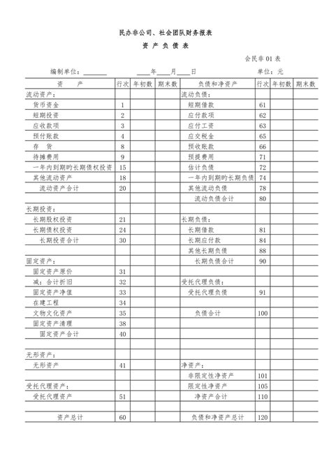 民办非企业单位、社会团体财务报表