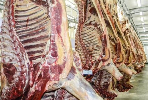 Importaciones De Carne Bovina Crecieron En Abril Contexto Ganadero