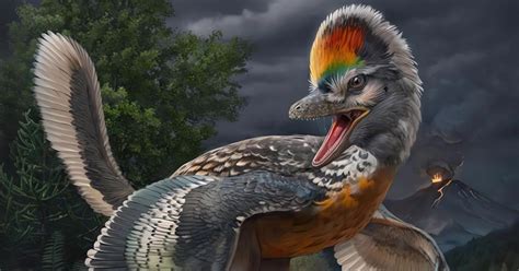 Descubren un dinosaurio clave para entender cómo evolucionaron las aves