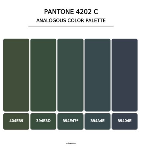 PANTONE 4202 C Color Palettes Colorxs