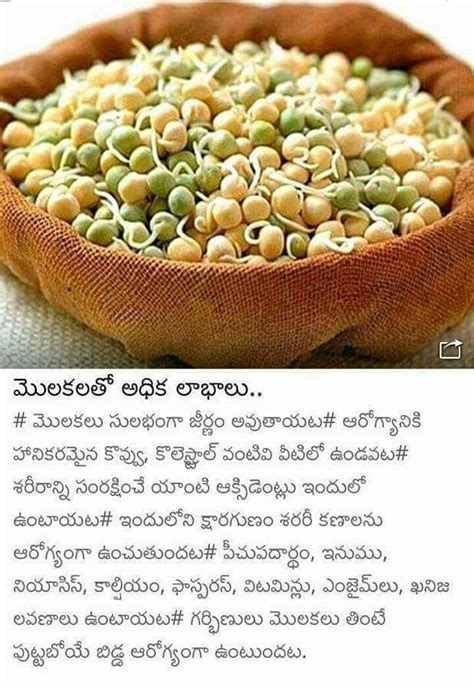 CHODAVARAMNET HEALTH BENEFITS WITH MOLAKALU