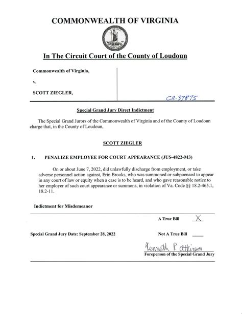 Loudoun County Indictments Unsealed And Copied Below The Bull Elephant