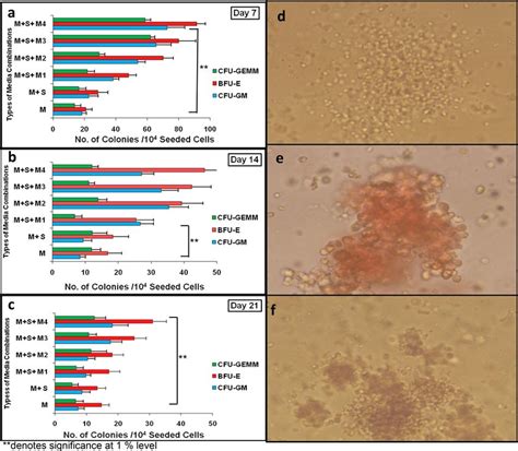 Colony Forming Unit Assay From Invitro Expanded Fl Cd34 Hspcs Download Scientific Diagram