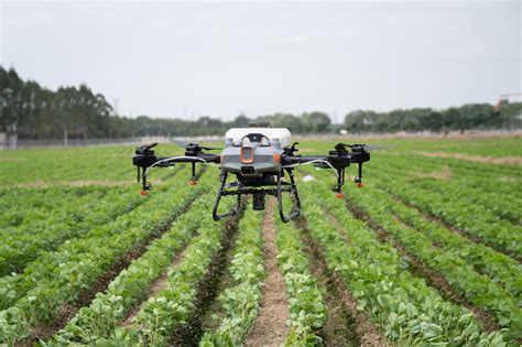 Agras T Drones De Pulveriza O Para Agricultura Agridrones