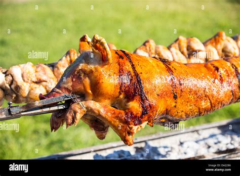 Hog Roast Hi Res Stock Photography And Images Alamy